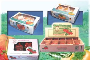 package-one
